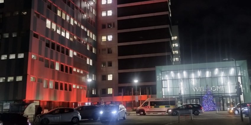 Swan Team tweet media