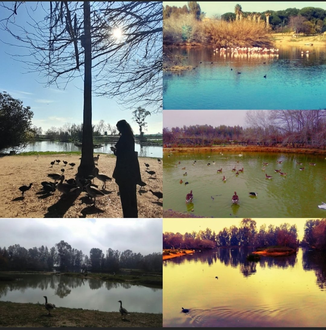 AnimaledaArt's tweet photo. En la Cañada de los pájaros💚 https://t.co/V5gr6Vfsv9