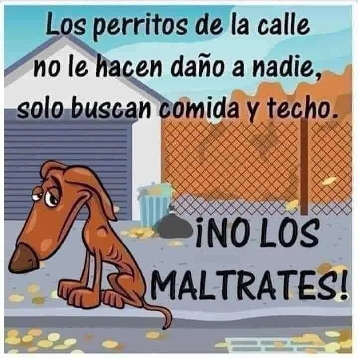 mayumiguillen's tweet photo. https://t.co/dRhU3texlf