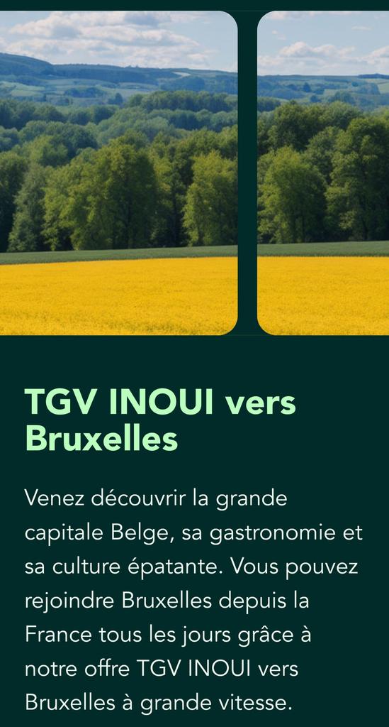 CavoitMarie's tweet photo. Mon nouveau kif ! #NouveauJob #TGVNord https://t.co/PbDWV9HyK8