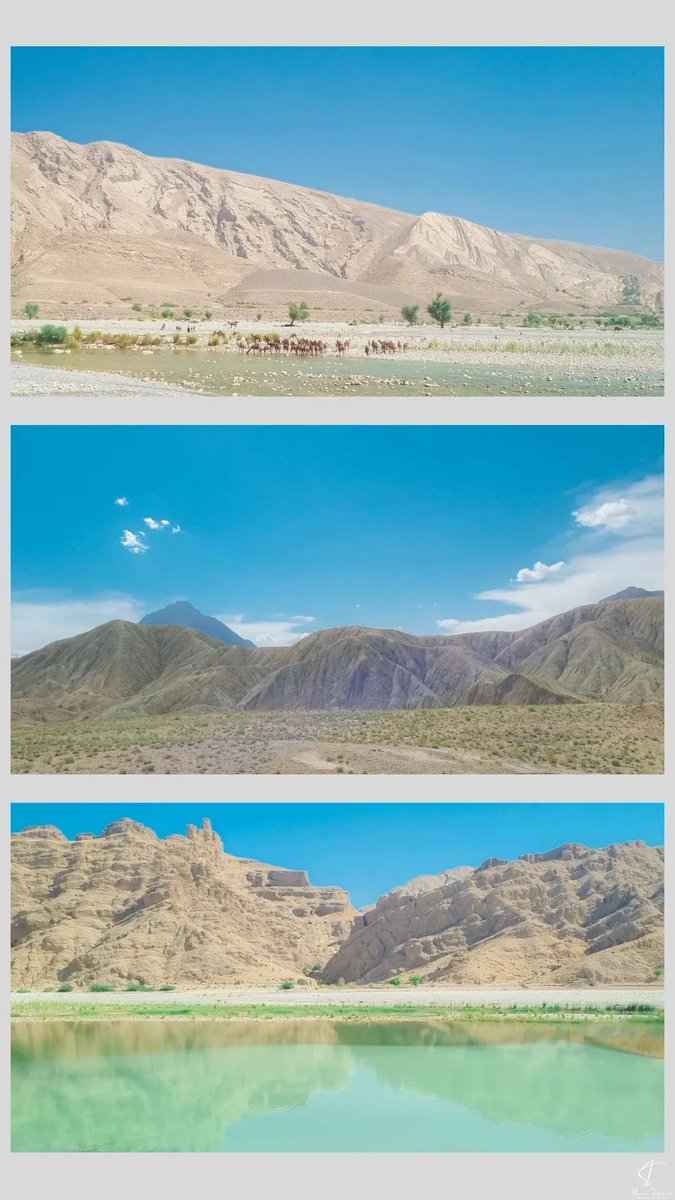 Shin Inara tweet media