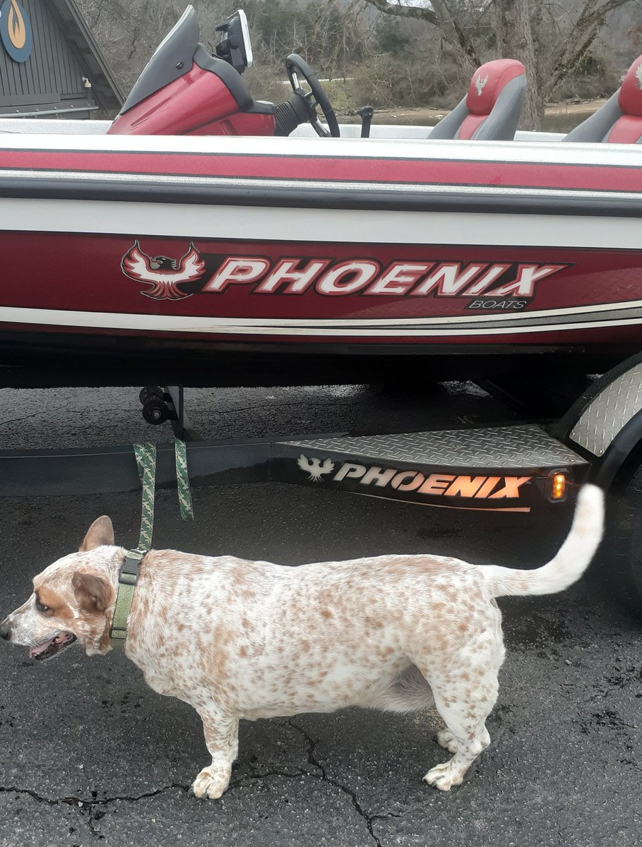 dnatree's tweet image. Coming fire 🔥 so hot 🔥 it will melt the veil separating you and I #fire #volcano #phoenix is the synch today walking Byrd at the Periwinkle Trail #sundayvibes #TrumpCheated