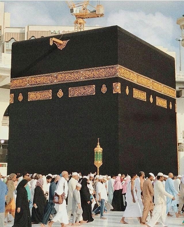 My dream reward is:

#Dreamscometrue $Lingo 
😍😍😍