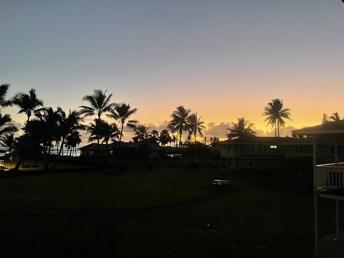 FansofSaltwater's tweet photo. Compound mornings https://t.co/Rf5Xs4B2GL