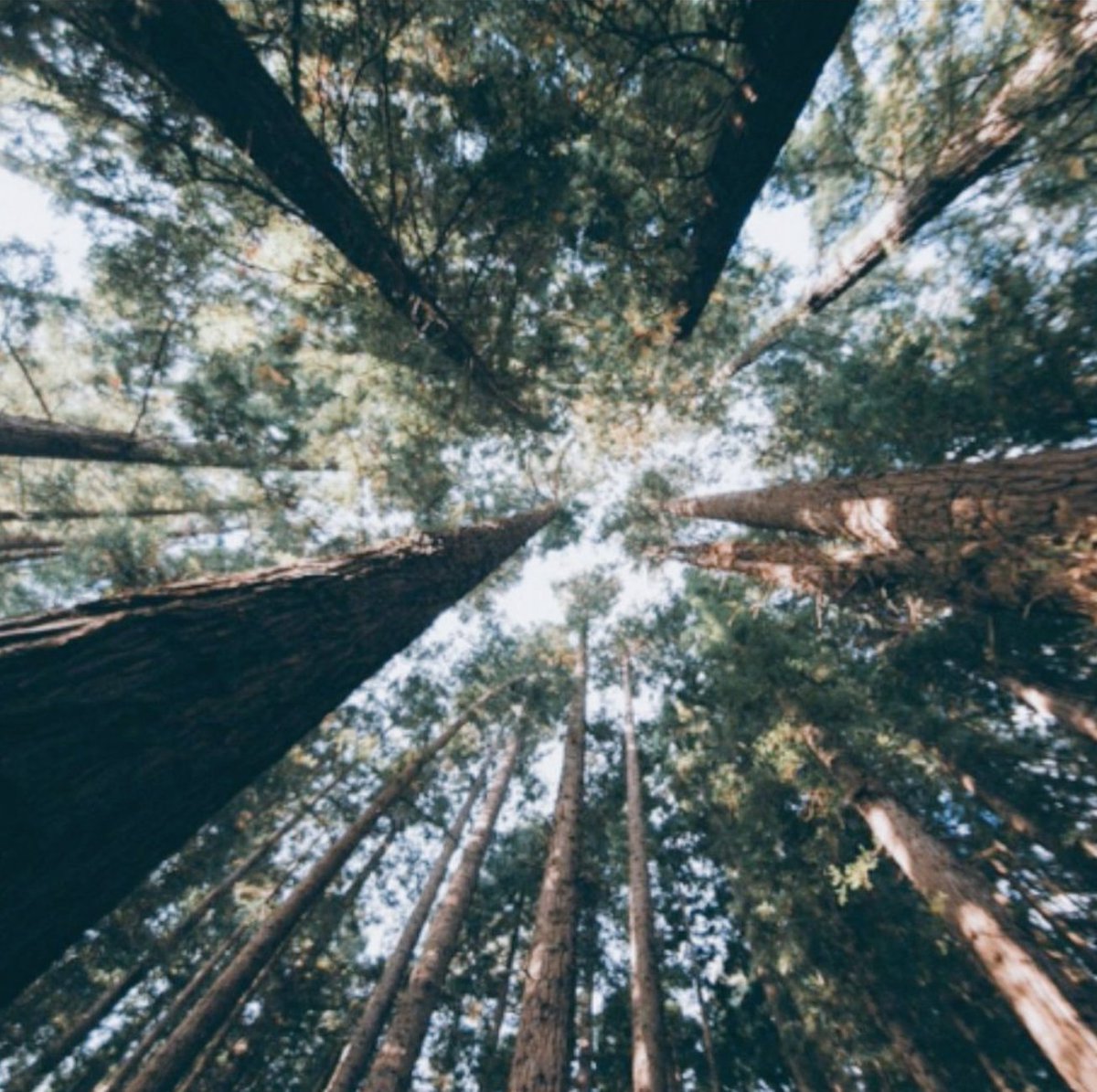 𝐀 𝐒𝐭𝐨𝐫𝐲 𝐎𝐟 𝐓𝐢𝐦𝐞⌛ tweet media
