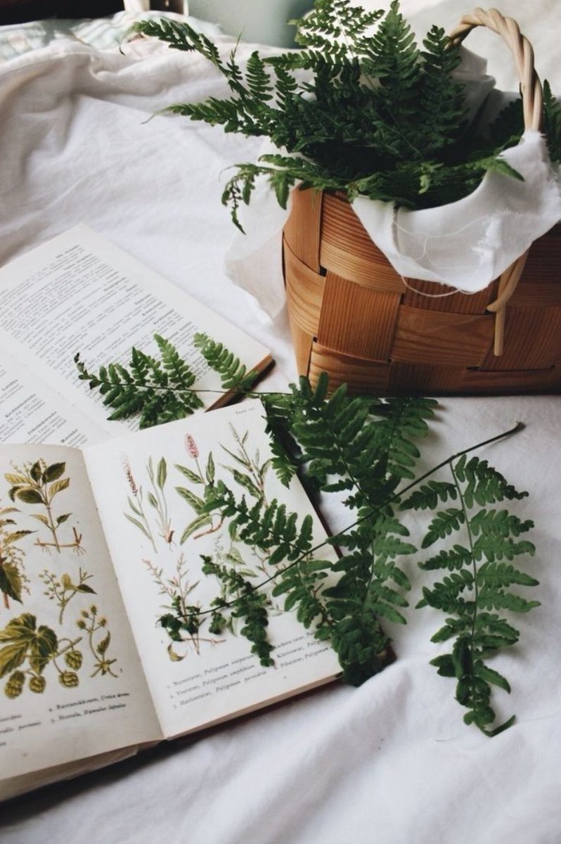 𝐀 𝐒𝐭𝐨𝐫𝐲 𝐎𝐟 𝐓𝐢𝐦𝐞⌛ tweet media