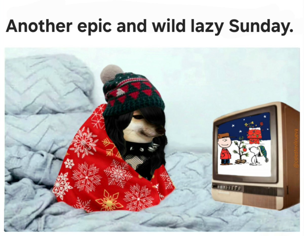 CelesteV.🌙 tweet media