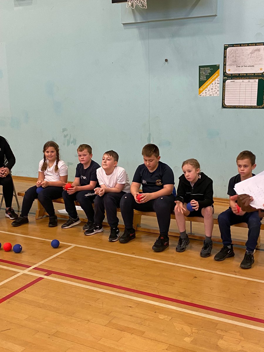 B.R. Primary PE & Sport tweet media