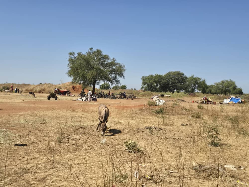 "Situation is deteriorating every day" 

Start of dry season and intensified fighting increased the crossing points to 5⃣ used by #refugees and #returnees fleeing #sudan war seeking safety in Renk 🇸🇸

<a href="/UNHCR/">UNHCR</a> and partners are extending their access and support the increased needs