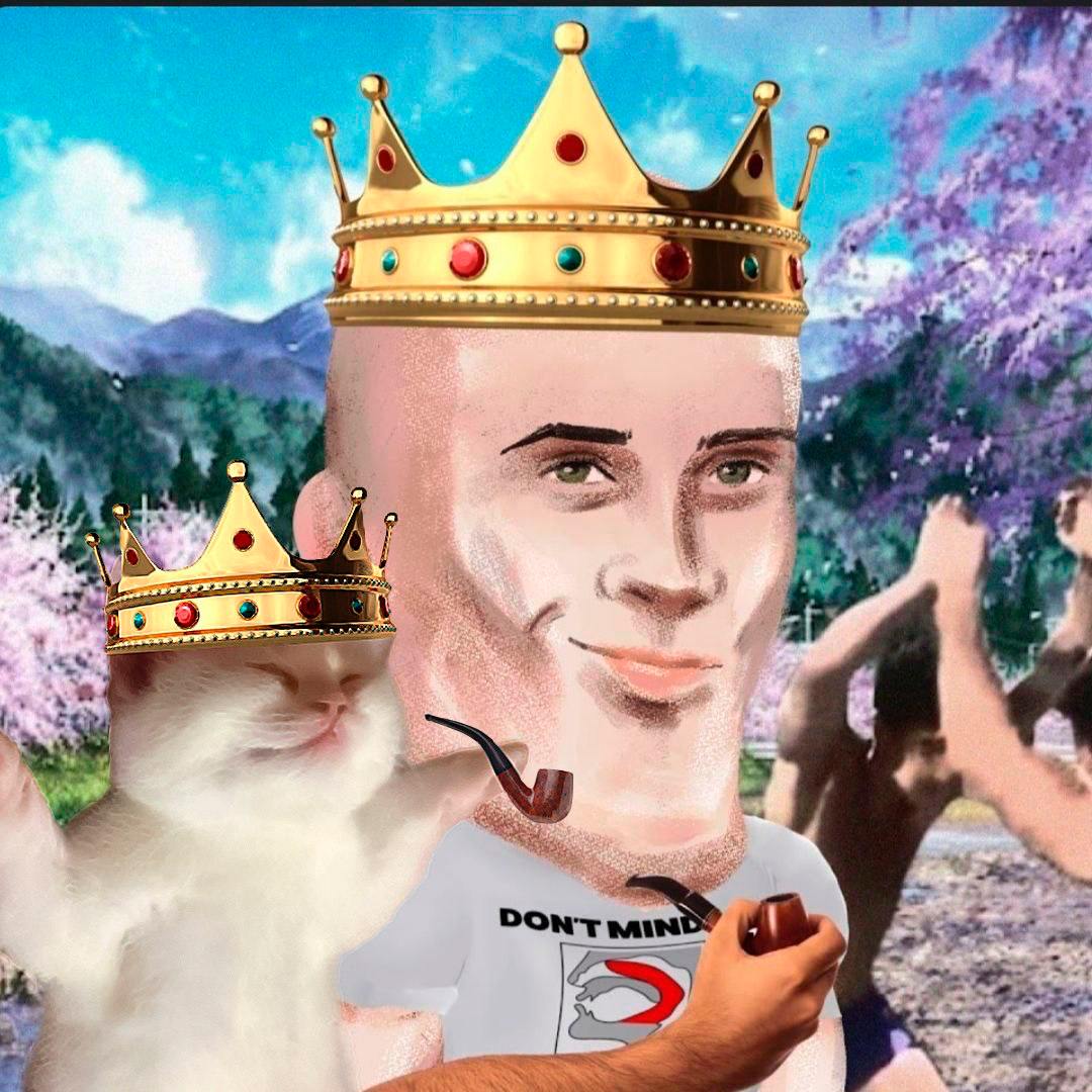 $DED CAT tweet media