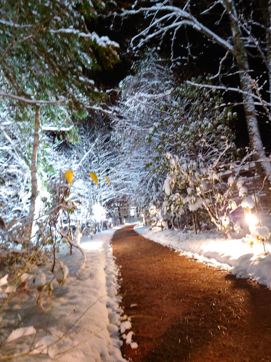 japatra190737's tweet photo. It was cold this morning. But the weather is good. The weather is changeable in winter, so it's best to go out in the morning. Wearing gloves will keep you warm and make it easier to move around. The lighting in the photo will continue until around 7pm.
#fukuchionsen #choza #g https://t.co/C2WXby2npJ