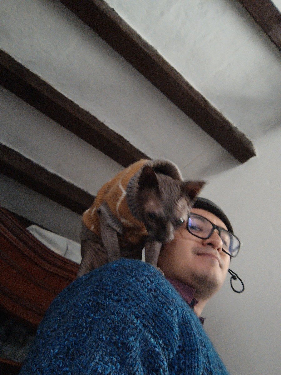 I'm rarely playing vgc, I love the competitive stuffs but got some priorities that allows me not much time to spend in testing, btw the GC was pretty fun