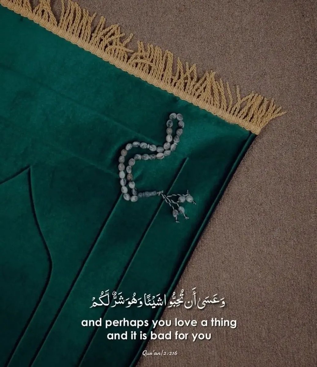 Al__Quraan's tweet photo. Verse of the day 🕊️ https://t.co/10mj55GBlx