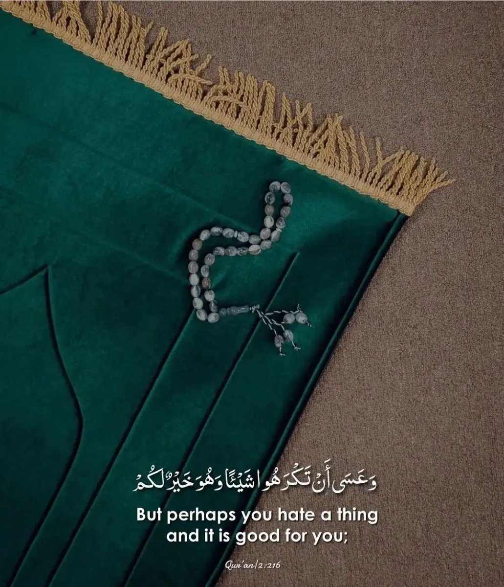 Al__Quraan's tweet photo. Verse of the day 🕊️ https://t.co/10mj55GBlx