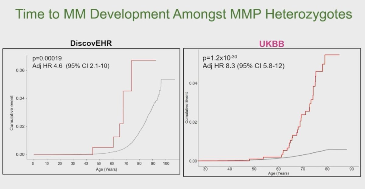 DrDavidJYoung's tweet photo. Love is all around…and so are variants.

Dr. Lisa McReynolds: @NCICancerBio IBMFS/CPS genes may be as prevalent as about 0.2%, with high penetrance. Some of these are associated with higher and/or earlier rates of malignant transformation. We need management guidelines #ASH24 https://t.co/IWoDhOU7XX