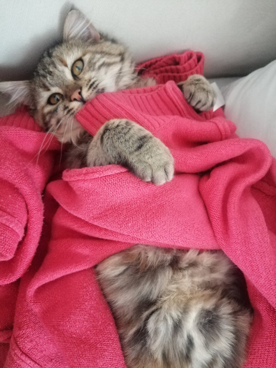 ecesra01's tweet photo. Küçük mucizelere hazırlıklı ol her an seni bulabilir 💕 https://t.co/g9v7vCXA9T
