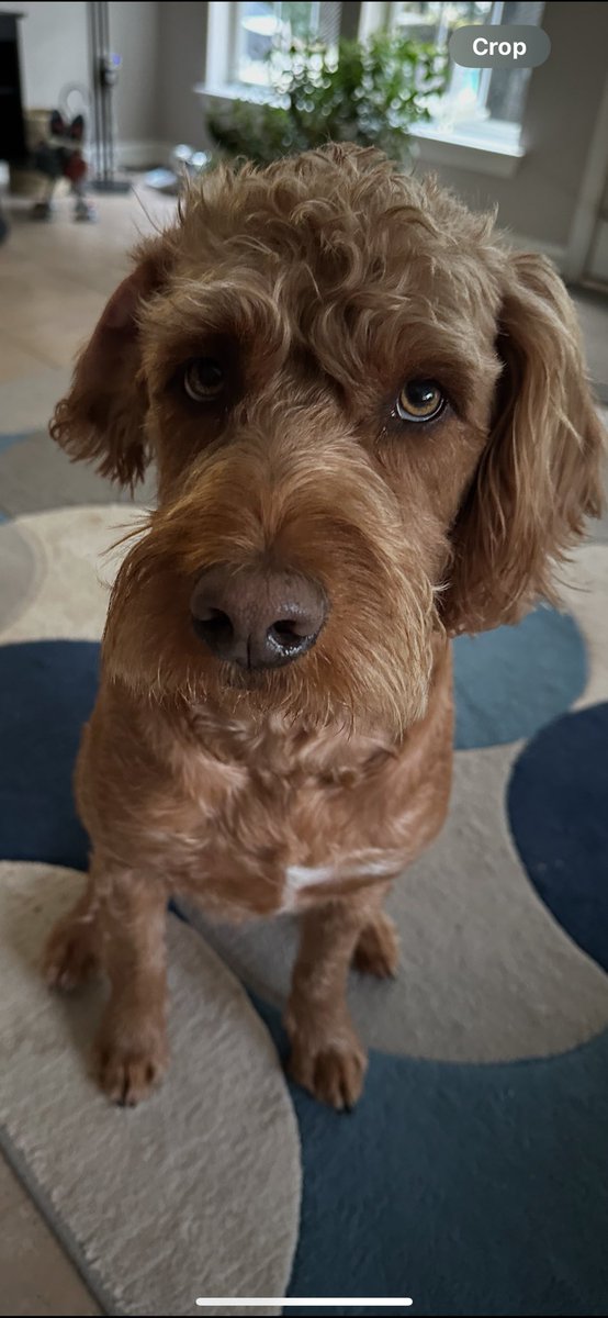 MikeBell929 tweet media