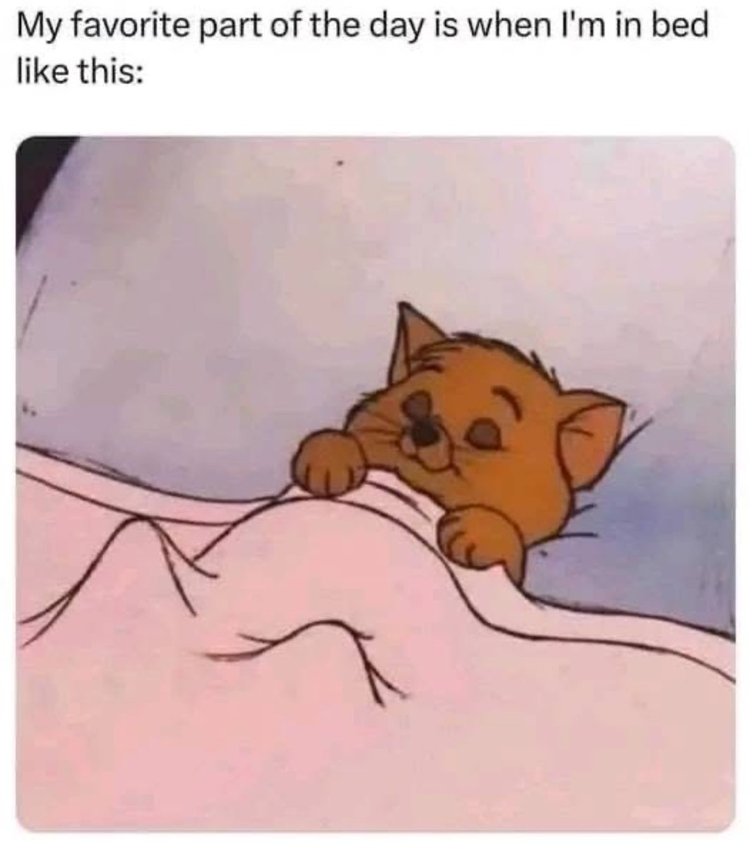 Respectful Memes (@respectfulmemes) on Twitter photo 