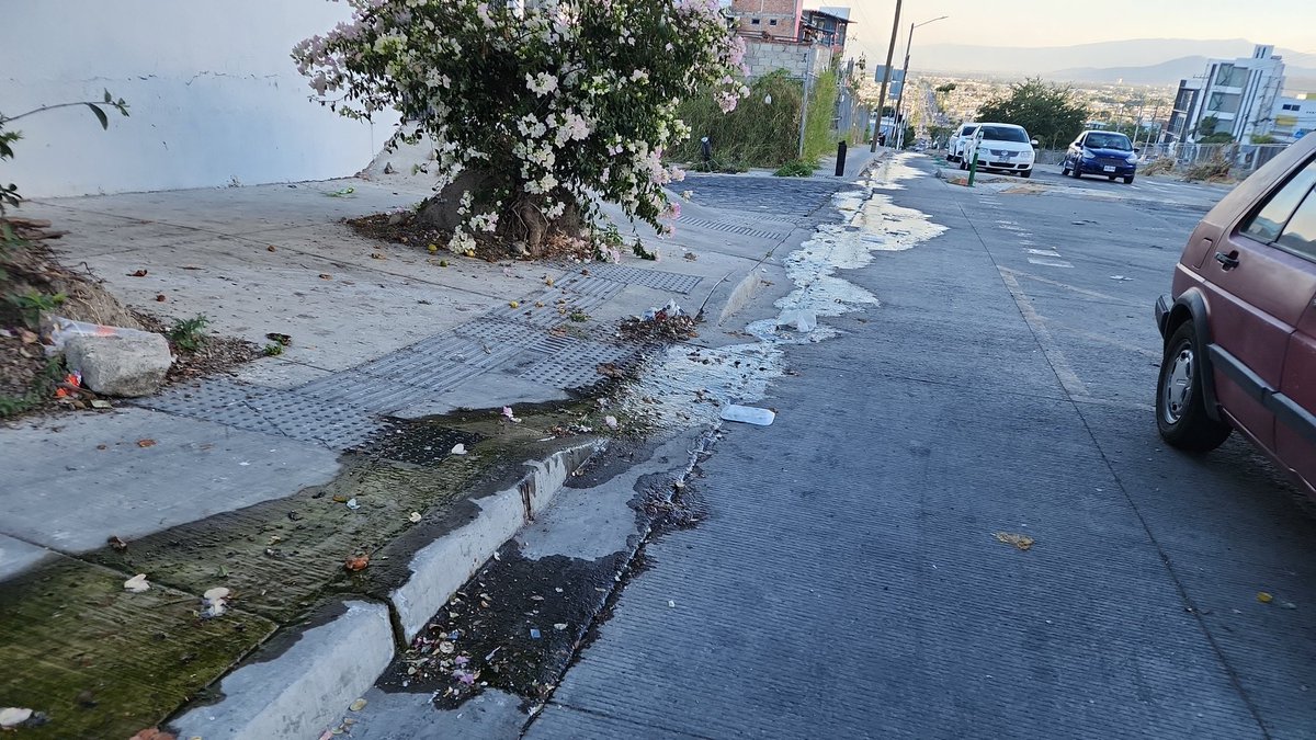 EtVeritate's tweet photo. @siapagdl, una figa que.lleva 2 semanas aproximadame te en Av. Las Torres. Aqui la ubicación:  https://t.co/ZyV6sVSX4N https://t.co/I1ht41xvCr