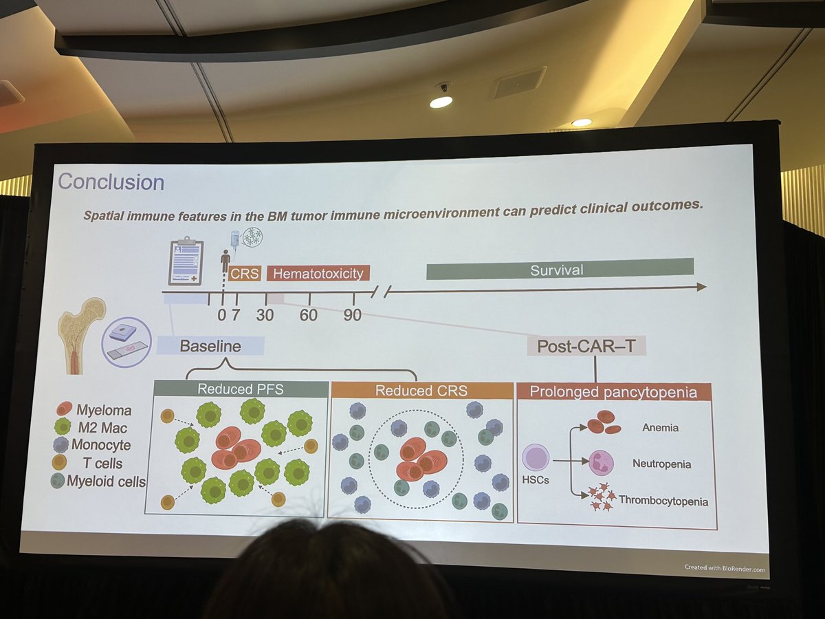 Great work by Yoshi and David on spatial proteomics on bone marrow pre and post CART #ash24 #mmsm