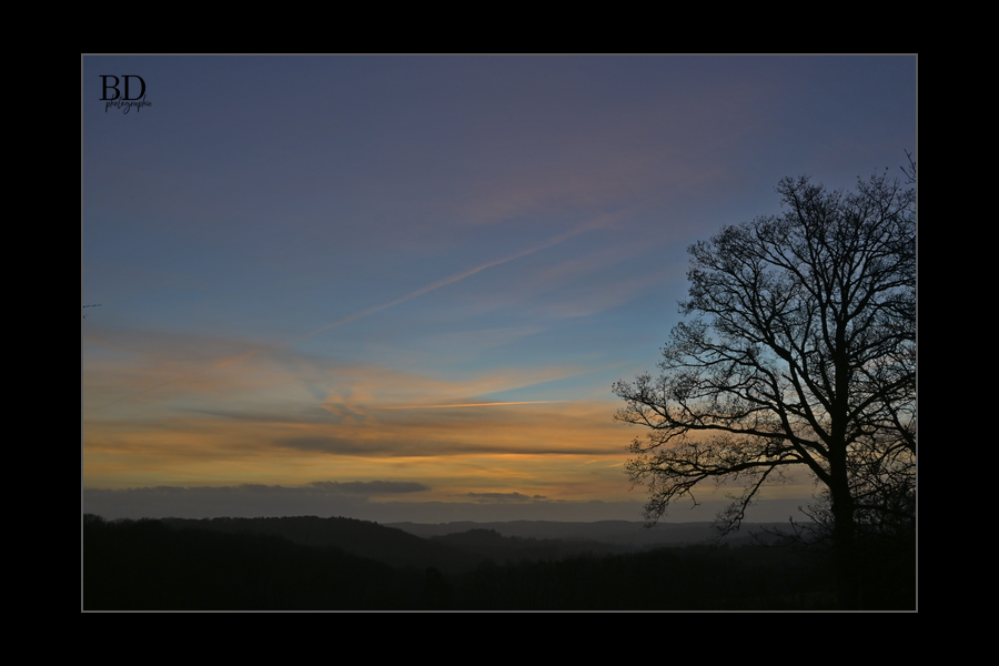 berenddoo's tweet photo. Belle lumière du soir. Mooi avondlicht.
Plus de ciels, meer luchten: https://t.co/zP3BM4suz7
#cantal #ciel #cieldusoir #coucherdesoleil https://t.co/Pn8RfKeWoV