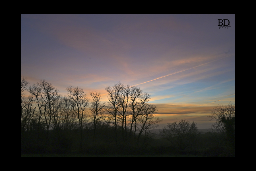 berenddoo's tweet photo. Belle lumière du soir. Mooi avondlicht.
Plus de ciels, meer luchten: https://t.co/zP3BM4suz7
#cantal #ciel #cieldusoir #coucherdesoleil https://t.co/Pn8RfKeWoV