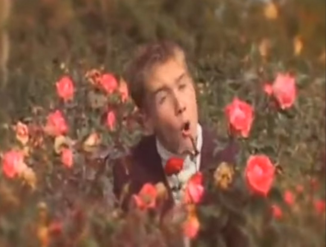 I smell Roses #oregon