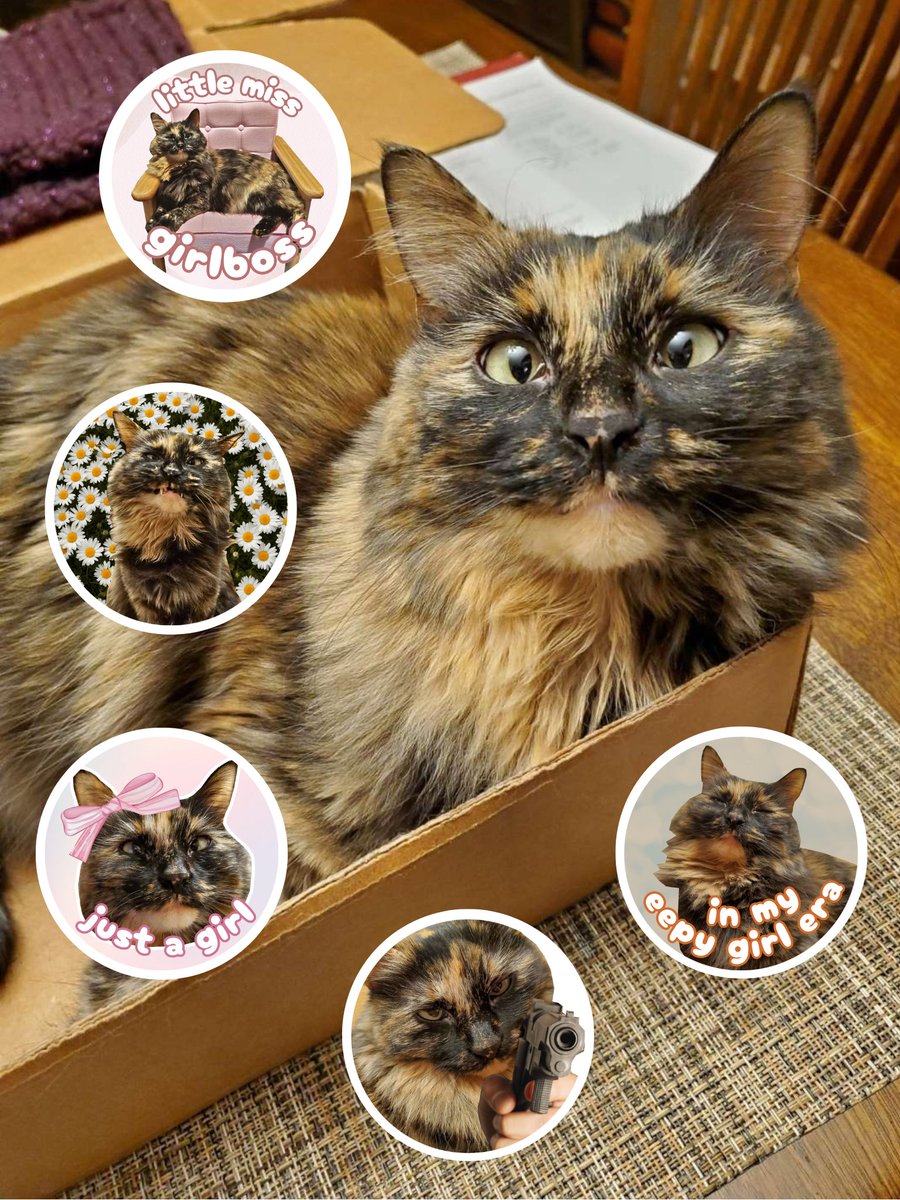 KiraGremlinCat's tweet photo. helo besteys I'm am very exsited to Anounse you can now burchase STIGKERS OF ME‼️ their is also an speshal CRISPASS stinker availble ‼️

blease enjoy I'm lov u.

https://t.co/DjYTaVbdDL https://t.co/I3z4gelGZu