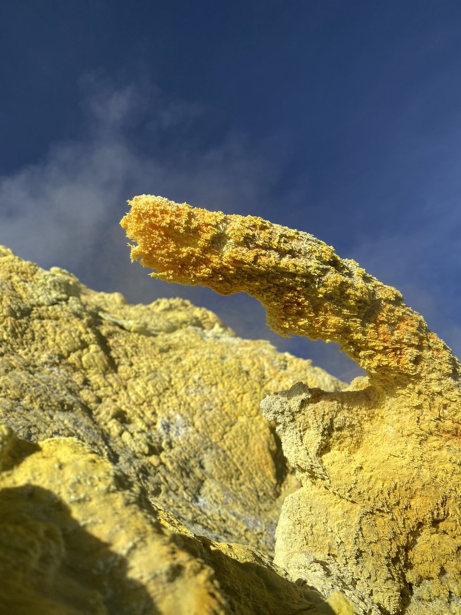 Interesting sulphur structures form in the fumarole field of Lastarria volcano. Some of the tubes are almost 1 metre long and grow downwind. What would you call them?
