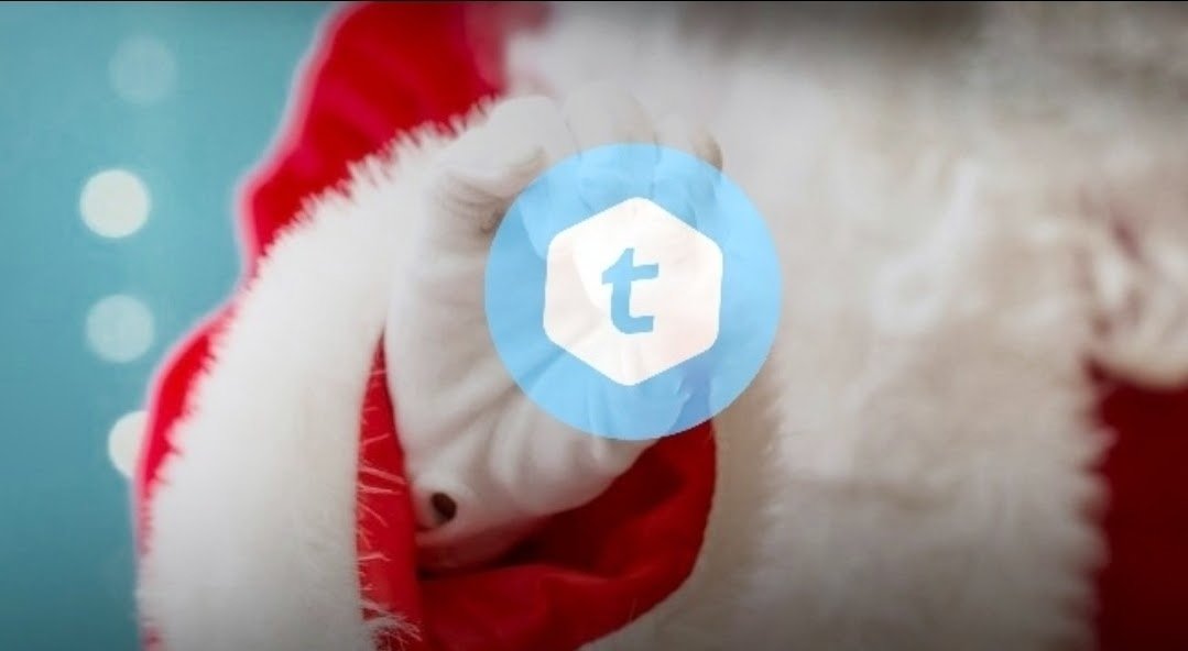 Telcoin_Juggler ⓣ tweet media