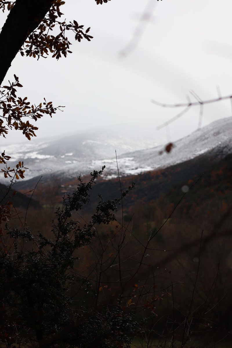 mireia_rl's tweet photo. 🍂❄️ #PallarsSobirà https://t.co/OgvFWwFUHG