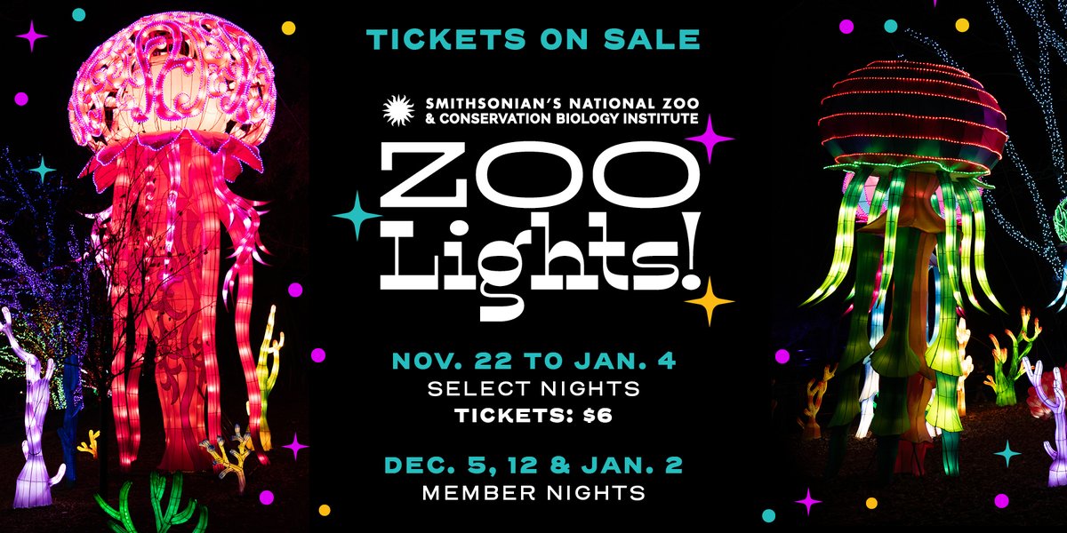 NationalZoo's tweet photo. ✨🪼✨ C’mon it’s lovely weather for a festive safari with you! Take loved ones to #DCZooLights, sponsored by @PepcoConnect, and bask in the glow of larger-than-life animal lanterns at @NationalZoo! Open select nights Nov. 22 thru Jan. 4.🎄🎟️ GET $6 TIX: https://t.co/Of7kjDmAt8. https://t.co/iKh5kfxKym
