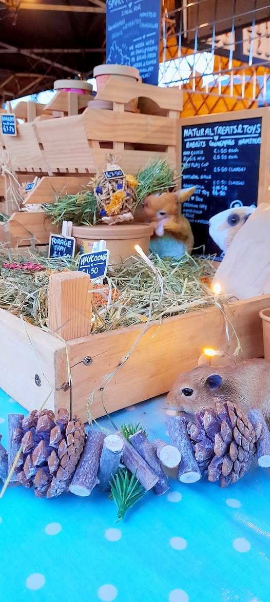 📷📷📷Must have been bonkers for being out in this today 📷 Thank you everybody who has braved the wind to see me !📷📷📷