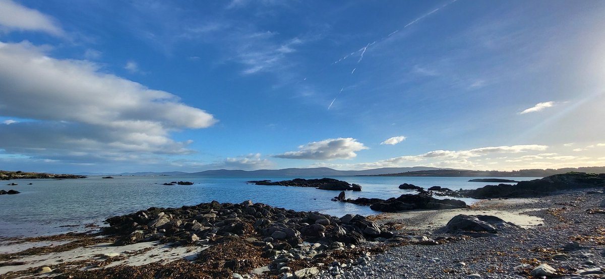 CarolPMurphy's tweet photo. What a lovely surprise to wake up to blue skies. Got in past my knees and walked over &amp; back. I'm told that is better therapy for the bad knee than swimming! Beautiful sunset this evening #365daysofwalking Oldie but goldie by the Shadows 
https://t.co/ahZdGd3LqH #365daysofmusic https://t.co/Pr2HOeZW71