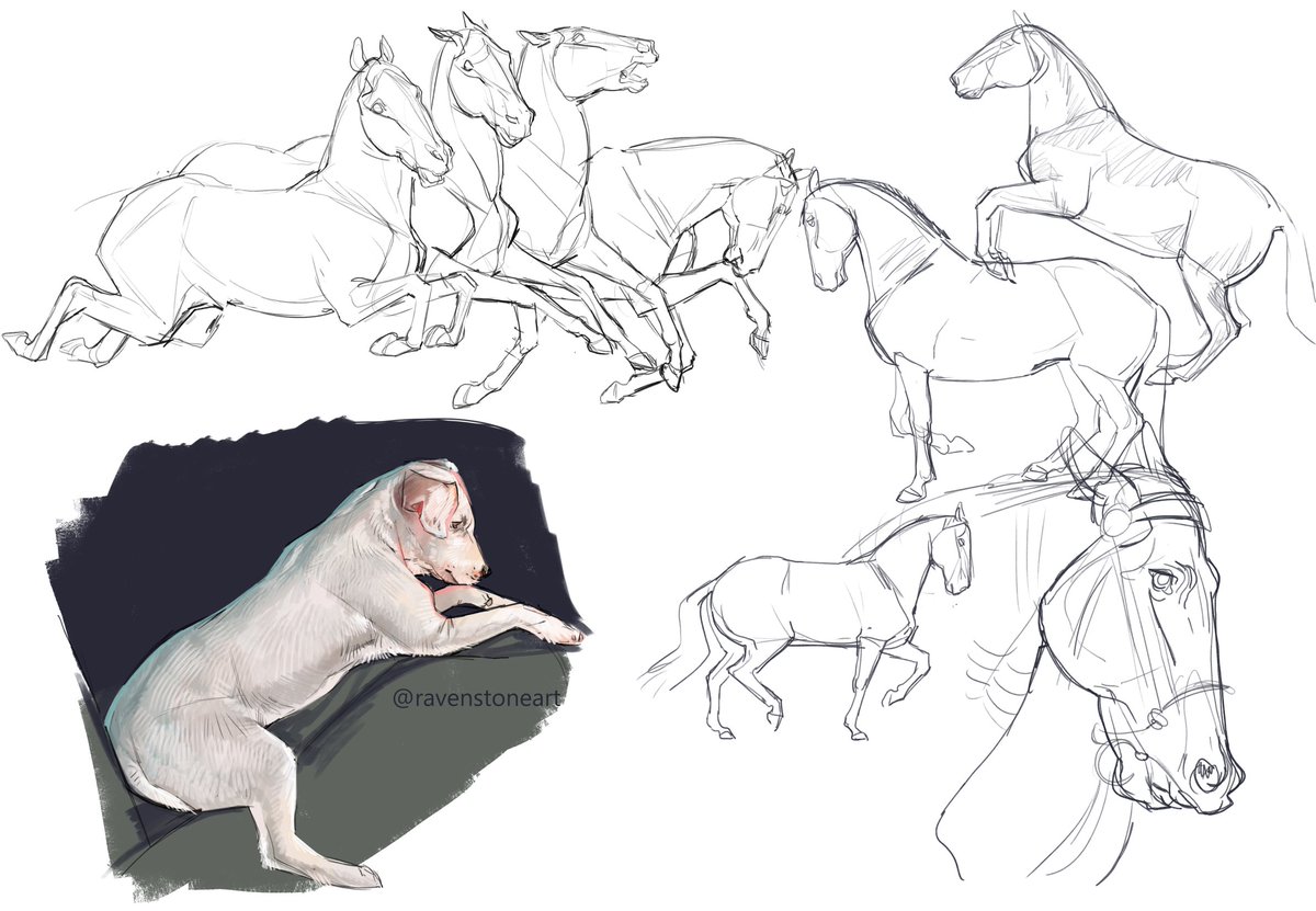 RavenstoneArt's tweet photo. Practicing some anatomy this evening! https://t.co/FfgaE9iCdb