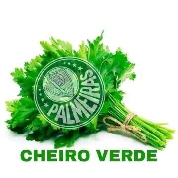 oficialmanualjr's tweet photo. kkkkkkkkkkkkkkkkkkkkkkkkkkkk https://t.co/yHfQcxxHEe