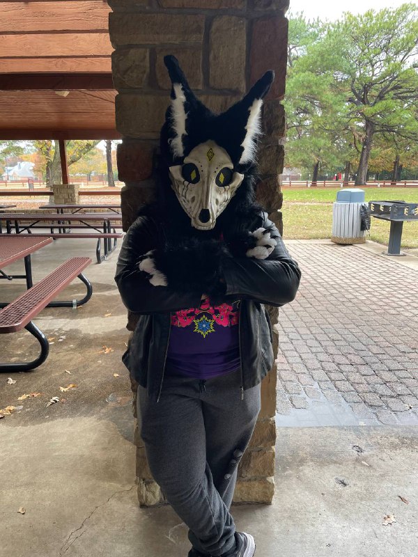 Roxa814's tweet photo. Took some photos at a local furmeet I went to. 
#furryfandom #furrycommunity  #fursuiter #fursuiting https://t.co/jwXC6h3fVw