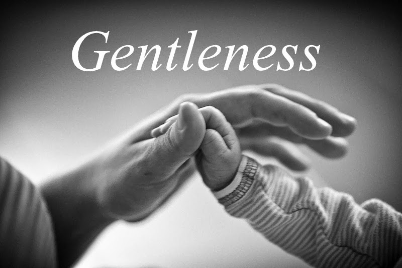 Advent word of the day (16)