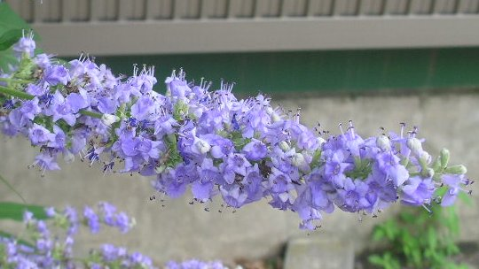 kamisama_kotoba's tweet photo. God exists inside you.

神は、あなたの中に在り。
#InnerGod #内なる神
https://t.co/NBvkV24kSt