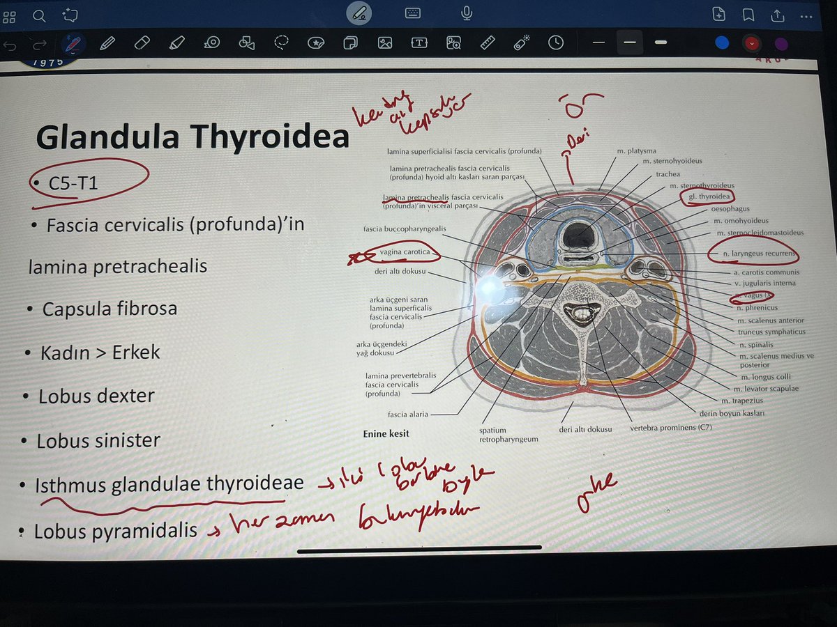 Calisalim. Mutlu olamiyoruz bari en azindan doktor oluruz