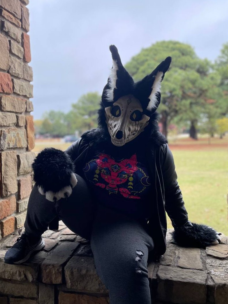 Roxa814's tweet photo. Took some photos at a local furmeet I went to. 
#furryfandom #furrycommunity  #fursuiter #fursuiting https://t.co/jwXC6h3fVw