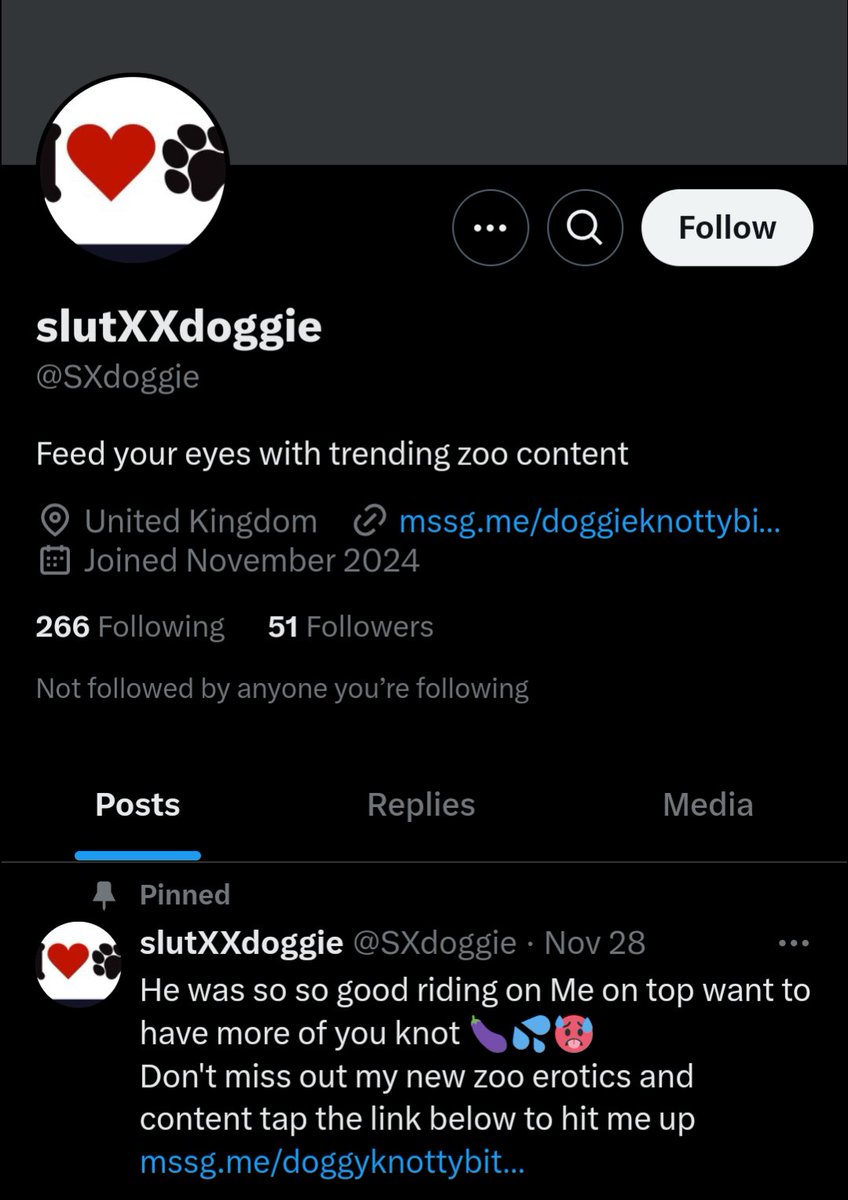 Yesterday I saw that a horrific beastiality account showing people sexually abusing dogs had followed me. I reported it with another beastiality account it reposted

Today, X rejected my reports and said they are allowed on X. It's illegal abuse

This is Elon Musk's X