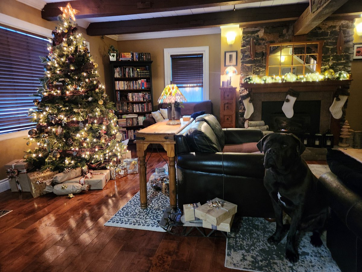 WendyBr77428471's tweet photo. Merry Christmas, Everyone #charlieschristmaspic #treeisup 💚❤️🎄 https://t.co/flSYA4lzK5