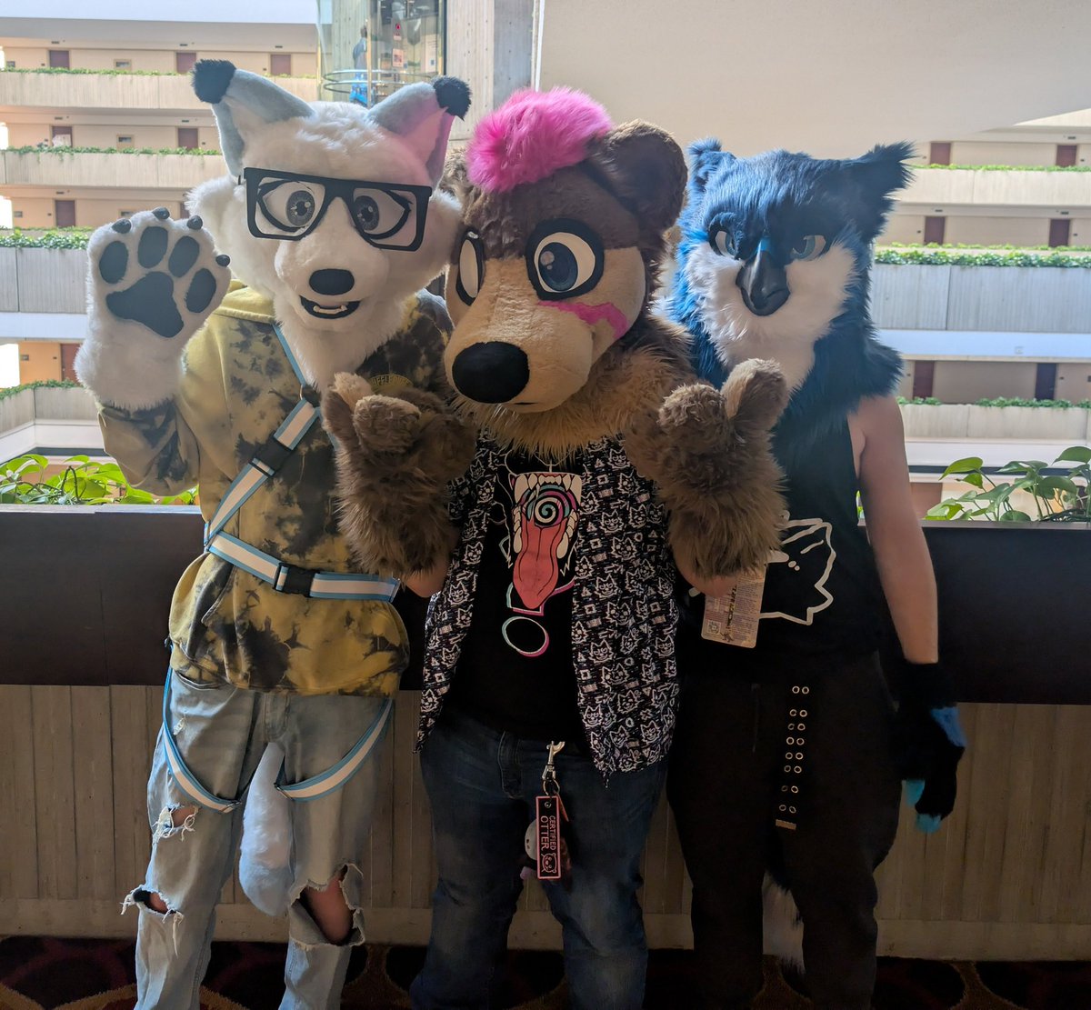 FoxHendrixx's tweet photo. Photo with the homies at #MFF2024 @Ember_Wisks @SolasBlueBirb https://t.co/IgO4nMU545