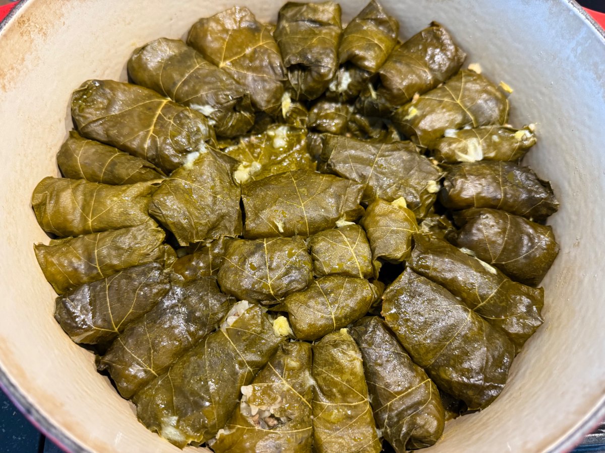 Jeff Smith @sumisu3@mastodon.nz tweet media