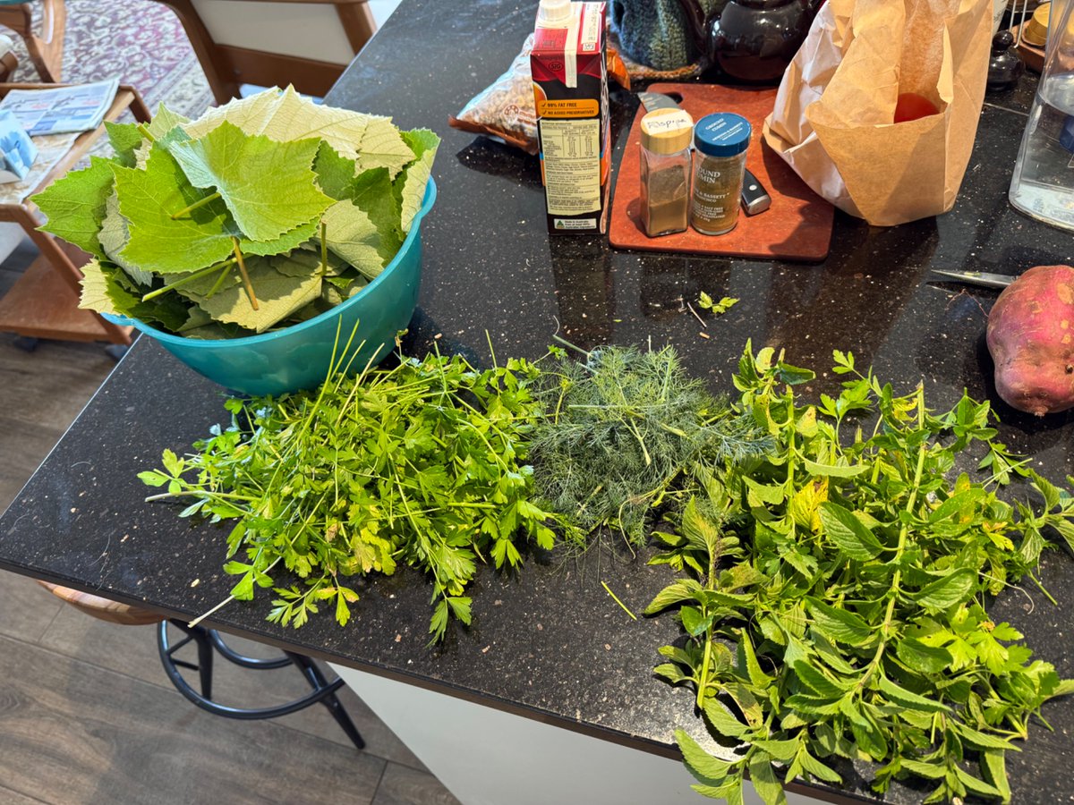 Jeff Smith @sumisu3@mastodon.nz tweet media