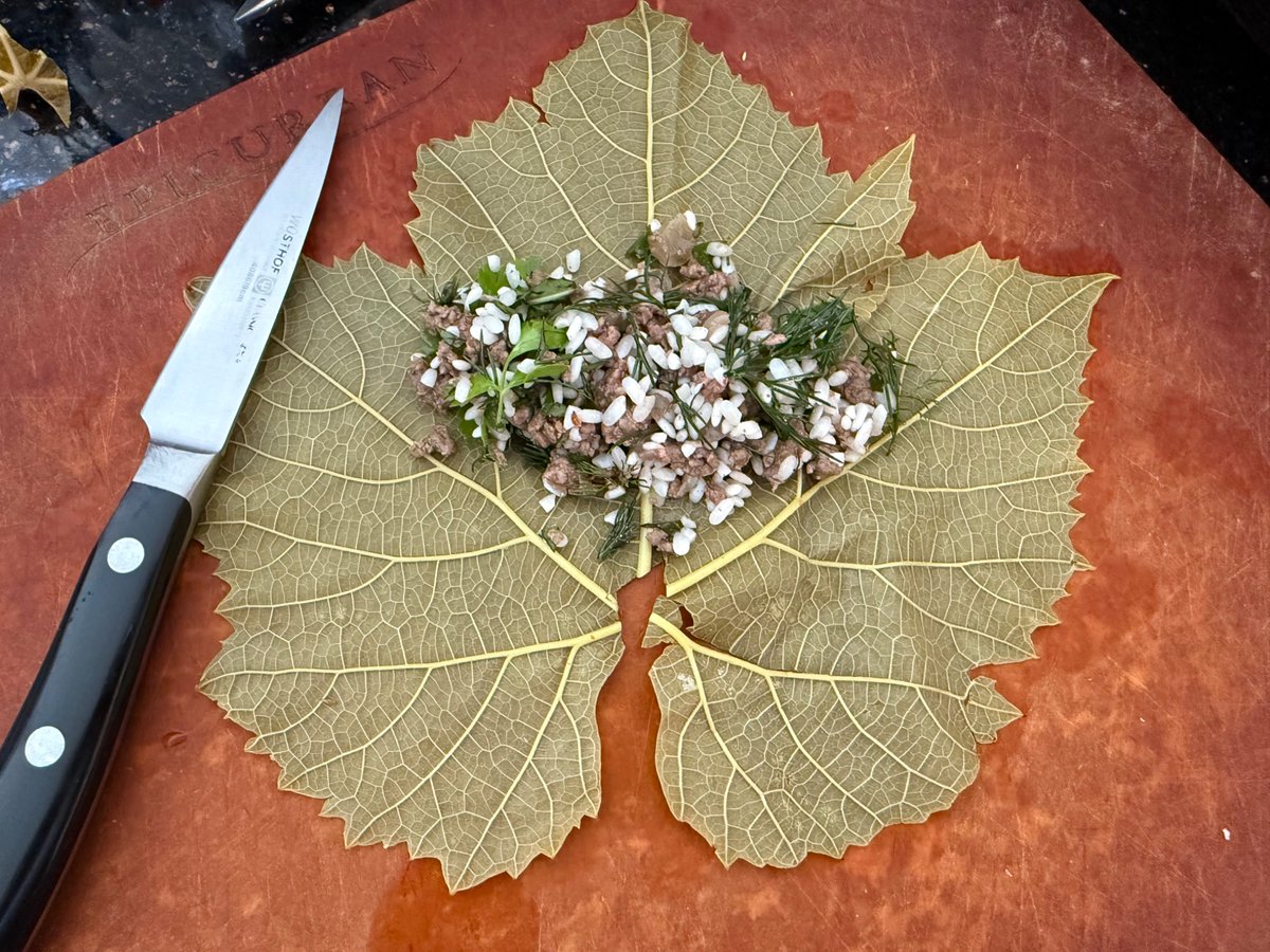 Jeff Smith @sumisu3@mastodon.nz tweet media