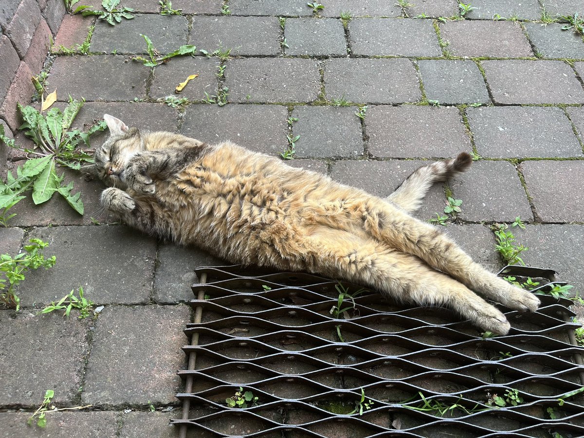 Makycaliv's tweet photo. @toxoplasmosii https://t.co/W7kQfrtgfb
