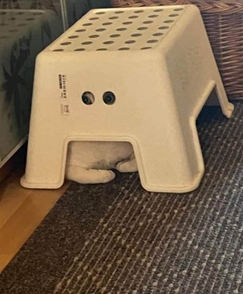 Thereisnocat_'s tweet photo. https://t.co/kjuDzMyqHo