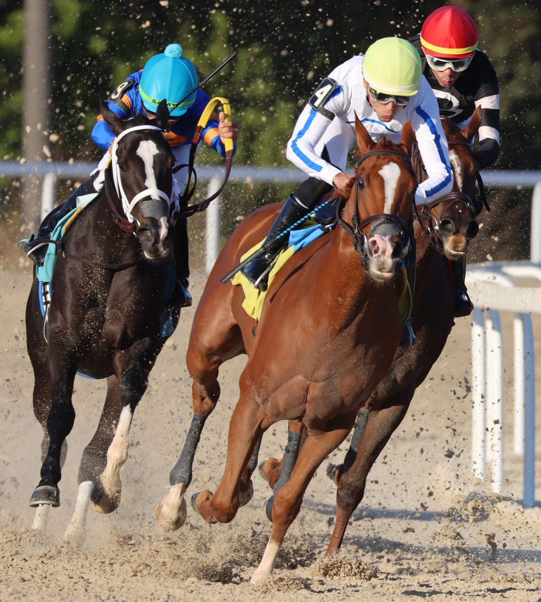 Mrs Worldwide win the 47th Running of The Sandpiper Stakes! The 2 yr old.

Trainer: <a href="/BLynchRacing/">Brian Lynch Racing 🦘</a> <a href="/niclynch1/">nichola lynch</a> 🦘👏🏼
Owner: Flying Dutchmen Breeding and Racing LLC! 

📸: @maineventcreations 💫